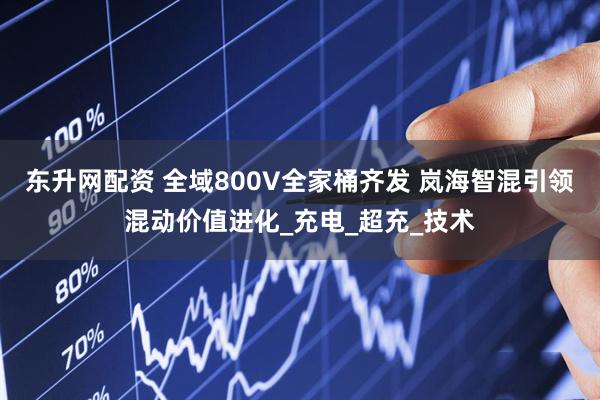 东升网配资 全域800V全家桶齐发 岚海智混引领混动价值进化_充电_超充_技术