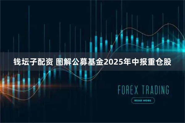 钱坛子配资 图解公募基金2025年中报重仓股