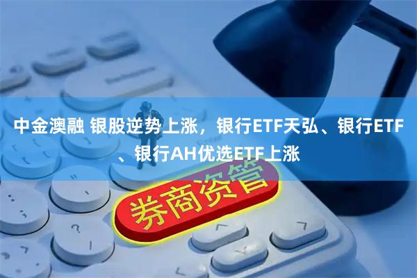 中金澳融 银股逆势上涨,银行ETF天弘、银行ETF、银行AH优选ETF上涨