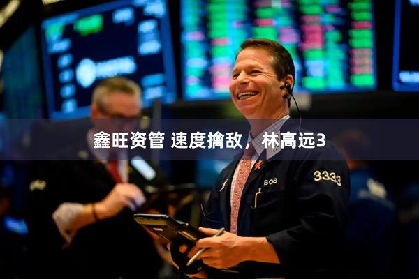 鑫旺资管 速度擒敌，林高远3
